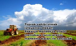 Toprak sahibi olmak isteyenler dikkat! Sakarya Hendek'te 10400 metrekare tarım arazisi mahkeme kararı ile satılacak