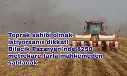 Toprak sahibi olmak istiyorsanız dikkat! Bilecik Pazaryeri'nde 8250 metrekare tarla mahkemeden satılacak