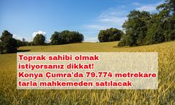 Toprak sahibi olmak istiyorsanız dikkat! Konya Çumra'da 79.774 metrekare tarla mahkemeden satılacak