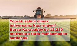 Toprak sahibi olmak istiyorsanız kaçırmayın! Bursa Karacabey'de 12.230 metrekare tarla mahkemeden satılacak