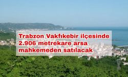 Trabzon Vakfıkebir ilçesinde 2.906 metrekare arsa mahkemeden satılacak