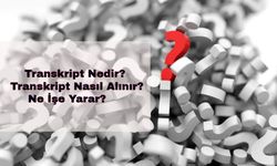 Transkript Nedir? Transkript Nasıl Alınır? E-devlet üzerinden transkript nasıl alınır?