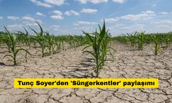 Tunç Soyer'den 'Süngerkentler' paylaşımı