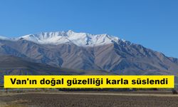 Van'ın doğal güzelliği karla süslendi