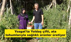 Yozgat'ta Yoldaş çifti, ata tohumlarıyla sağlıklı ürünler üretiyor