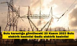 Bolu telefonlarınızı şarj edin! 20 Kasım 2023 Bolu elektrik kesintisi Sakarya Elektrik kesintisi (SEDAŞ)