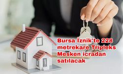 Bursa İznik'te 228 metrekare Tripleks Mesken icradan satılacak