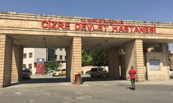 Cizre Devlet Hastanesi iletişim bilgileri: Güncel telefon numaraları ve adres bilgisi