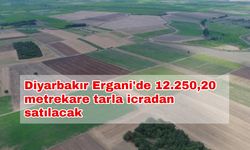 Diyarbakır Ergani'de 12.250,20 metrekare tarla icradan satılacak