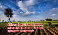 Edirne İpsala'da 26.501 metrekare tarım arazisi icradan satılacak