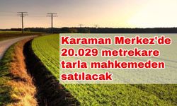 Karaman Merkez'de 20.029 metrekare tarla mahkemeden satılacak