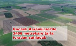 Kocaeli Karamürsel'de 2408 metrekare tarla icradan satılacak