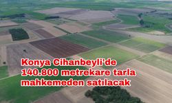 Konya Cihanbeyli'de 140.800 metrekare tarla mahkemeden satılacak