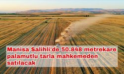 Manisa Salihli'de 50.848 metrekare palamutlu tarla mahkemeden satılacak