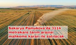 Sakarya Pamukova'da 3114 metrekare tarım arazisi mahkeme kararı ile satılacak