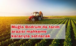 Muğla Bodrum'da tarım arazisi mahkeme kararıyla satılacak