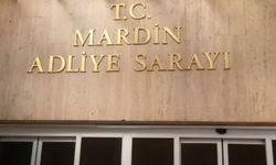 Mardin'de 21 kişinin öldüğü TIR kazası davasında flaş gelişme