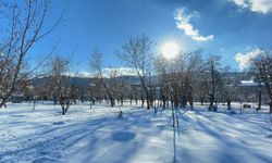 Bitlis’te kar yağışı sonrası ağaçlar görsel şölen oluşturdu