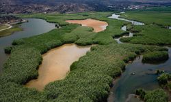 Iğdır'ın en meşhur parkları | Iğdır'da aileye uygun park ve piknik yerleri