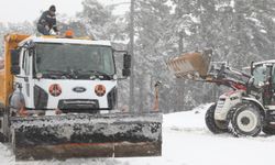 Edremit Belediyesi, Kazdağları’nda kar mücadelesine devam ediyor