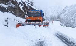 Siirt ve Şırnak'ta kar yağışı nedeniyle tedbirli olun