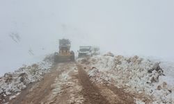 Siirt'te yoğun kar yağışı, araçları mahsur bıraktı