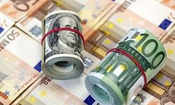 Dolar ve euro güne nasıl başladı? ( 13 Şubat 2024 döviz açılış fiyatları)