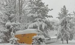 Ardahan'da kışın acımasız yüzü: 209 yol ulaşıma kapandı, okullar tatil edildi!