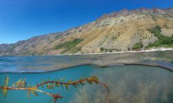 Bitlis'de hangi göller ve göletler var? Bitlis'de gezilecek nehir ve akarsular