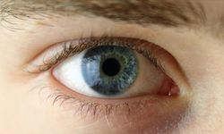 İnsan gözü kaç FPS görüyor? İnsan gözü kaç hz algılar?