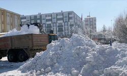İşte o ilde 55 yılın rekoru kırıldı, Ardahan'da kamyonlarla karlar taşınıyor!