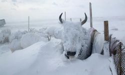 Kırgızistan, Türkiye, Bangladeş değil! O ülkede 1975’ten bu yana en şiddetli kar yağışı meydana geldi