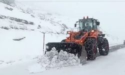 Siirt Meşindağı Geçidi'nde kar trafiği: 25 araç mahsur kaldı!