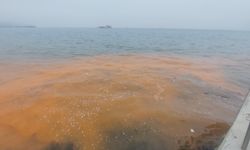Tekirdağ'da turuncu deniz: Doğanın mucizesi mi, kirliliğin sonucu mu?