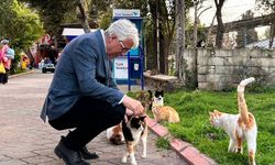 Buca adayı Öztekin'den sokak hayvanlarına özel proje