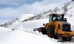 Bitlis'te kar yağışı: Kapanan 75 yoldan 24'ü açıldı