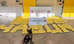 Ticaret Bakanlığı: Habur Gümrük Kapısı'nda 850 kilogram eroin ele geçirildi