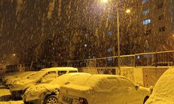 Van’da mart ayında lapa lapa kar yağdı