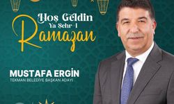AK Parti Erzurum Tekman belediye başkan adayı Mustafa Ergin kimdir?