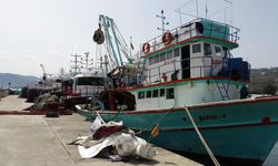 Balıkçılar erken paydos çekti: Karadeniz'de balık neden küçüldü?