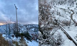 Bitlis'te VEDAŞ ekipleri kar ve tipide vatandaşı ışıksız bırakmadı