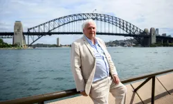 Clive Palmer kimdir? Clive Palmer serveti