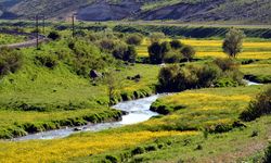 Kırşehir'de baharın gelişiyle nerelere gidilir? Kırşehir'de mevsimlik gezilecek yerler