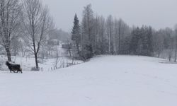 Sakarya'da mart ayı kar sorunu: Vatandaşlar dikkatli olsun!