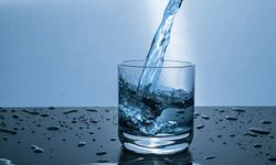 Su canlılar için neden önemlidir? Su neden değerlidir?