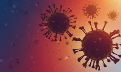 Covid-19’dan 100 kat daha kötü bir virüs! H5N1 virüsü nedir?