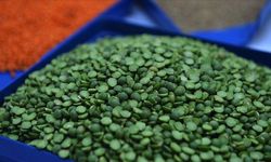 Yeşil mercimek besin değeri nedir? Yeşil mercimek protein bakımından zengin mi?