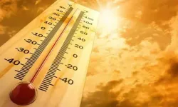 Bakan Özhaseki: Sıcaklıklar mevsim normalleri üzerinde olacak