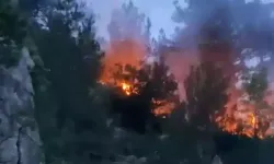 Osmaniye'de orman yangını!