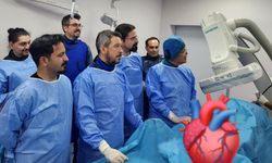 Ameliyatsız ilk kan kaçağı tedavisi Balıkesir'de yapıldı